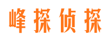 绵阳市调查公司